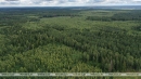 &quot;Лес - это наше достояние&quot;. Лукашенко доложили о работе и совершенствовании лесного хозяйства