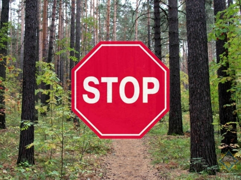 Запрет на посещение лесов 