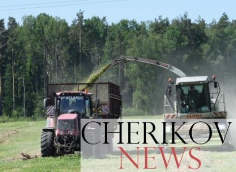 Более 10 000 тонн сенажа заготовили в Чериковском районе