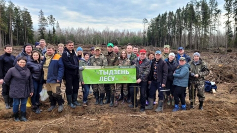 Сотрудники Белагропромбанка садили лес в Чериковском районе