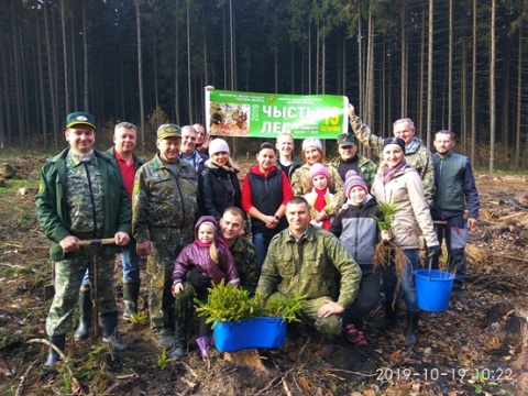 Более 8,2 тыс. жителей Могилевской области приняли участие в республиканской области «Чистый лес»