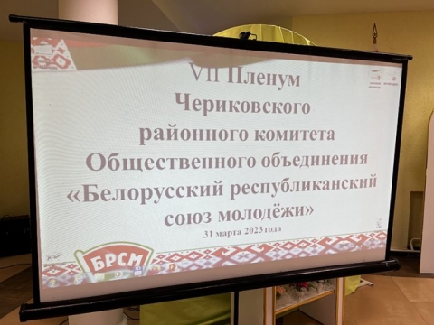 В Черикове прошел VII Пленум районного комитета БРСМ