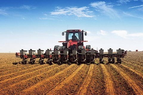 Сев озимых зерновых завершается в Беларуси