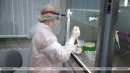 Глава ВОЗ выразил уверенность в том, что пандемия COVID-19 завершится в 2023 году