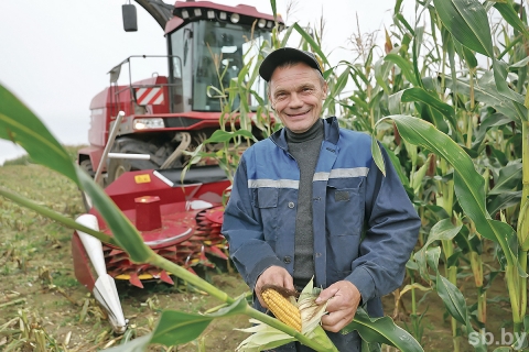 Уборка кукурузы на силос в Могилевской области близится к финишу