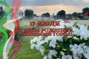 Как и когда Чериков будет отмечать День города? Программа мероприятий