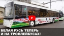 Патриотически украшенные автобусы и троллейбусы будут курсировать по Могилевской области