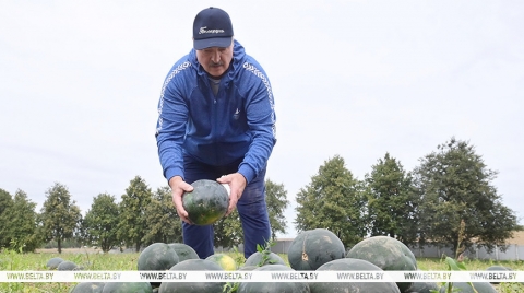 &quot;Разворачиваемся мы очень медленно&quot;. Почему Лукашенко призывает аграриев выращивать новые культуры