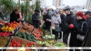 &laquo;Овощи прямо с грядки&raquo;. В Могилеве прошла большая сельскохозяйственная ярмарка