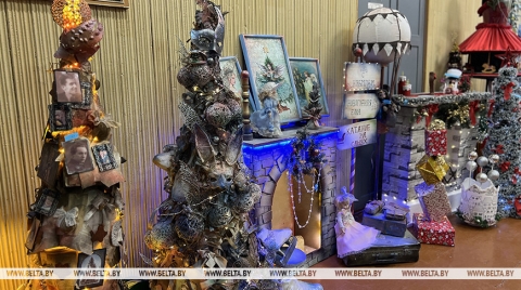 Елка-трансформер, адвент-календарь и огненная лошадь. В Могилеве прошел областной этап «ТехноЕлки»