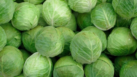 Могилевская область заложила в стабфонд 18 тыс. тонн овощей и яблок