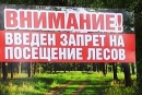Запреты и&nbsp;ограничения на&nbsp;посещение лесов введены в&nbsp;91&nbsp;районе Беларуси