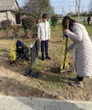 В Единый день озеленения в Чериковском районе высадят более двухсот туй и ста восьмидесяти деревьев